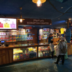 Angry Birds Indoor (10)