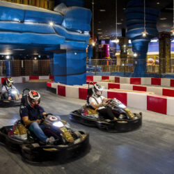 Angry Birds Indoor (2)