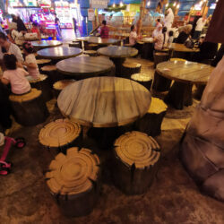 Angry Birds Indoor (8)
