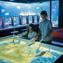 TEKZONE (1)